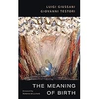 The Meaning of Birth The Meaning of Birth Paperback Kindle Hardcover