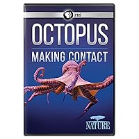 NATURE: Octopus: Making Contact