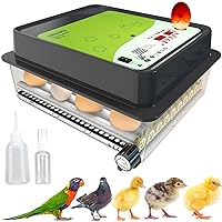 OBI-36 Egg Incubator for Hatching Chickens, Ducks & Other Birds + NEW 2024 + 36 Eggs + Automatic Egg Turner + Temperature Control + Humidity Display + Integrated Egg Candler + 5 YEAR WARRANTY