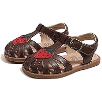 WUIWUIYU Toddlers Little Girls T-Strap Hook&Loop Dress Strawberry Summer Shoes Closed Toe Sandals