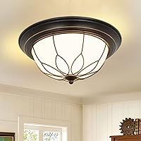 DLLT Flush Mount Ceiling Light, 13 Inch 2-Light Farmhouse Close to Ceiling Light Fixture with Glass Shade for Hallway Kitchen Bedroom Living Room Porch Foyer Lighting, Black Finish, E26
