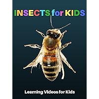 Insects for Kids: Learning Videos for Kids