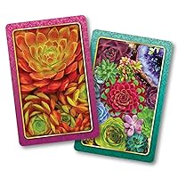 Springbok Succulents Standard Index Playing Cards Set