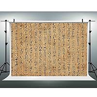 7(W) x5(H) FT Egypt Hieroglyphs Picture Backdrop Ancient Egyptians Civilization Photogrpahy Background Party Archaeology History Travel YouTube Booth Wall Mural Studio Prop