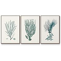 Renditions Gallery Canvas Nature Wall Art Hanging Decor Coastal Green Coral Aquatic Sea Life Walnut Floater Framed Artwork for Bedroom Office Kitchen - 24