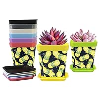8-Pack (8 Colors) Flower Pots Plant Pots with Pallet Fruity Lemon Planters Nursery Pots Gardening Containers