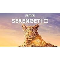 Serengeti, Season 2
