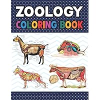 Zoology Coloring Book: Learn The Zoology & Enhance Your Practice. Introduction to Veterinary Anatomy and Physiology Workbook. Dog Cat Horse Frog Bird ... Handbook of Zoology Students & Teachers.