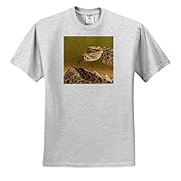 3dRose Arizona, Santa Cruz County. Coiled Western Diamondback Rattlesnake. - T-Shirts (ts_345867)