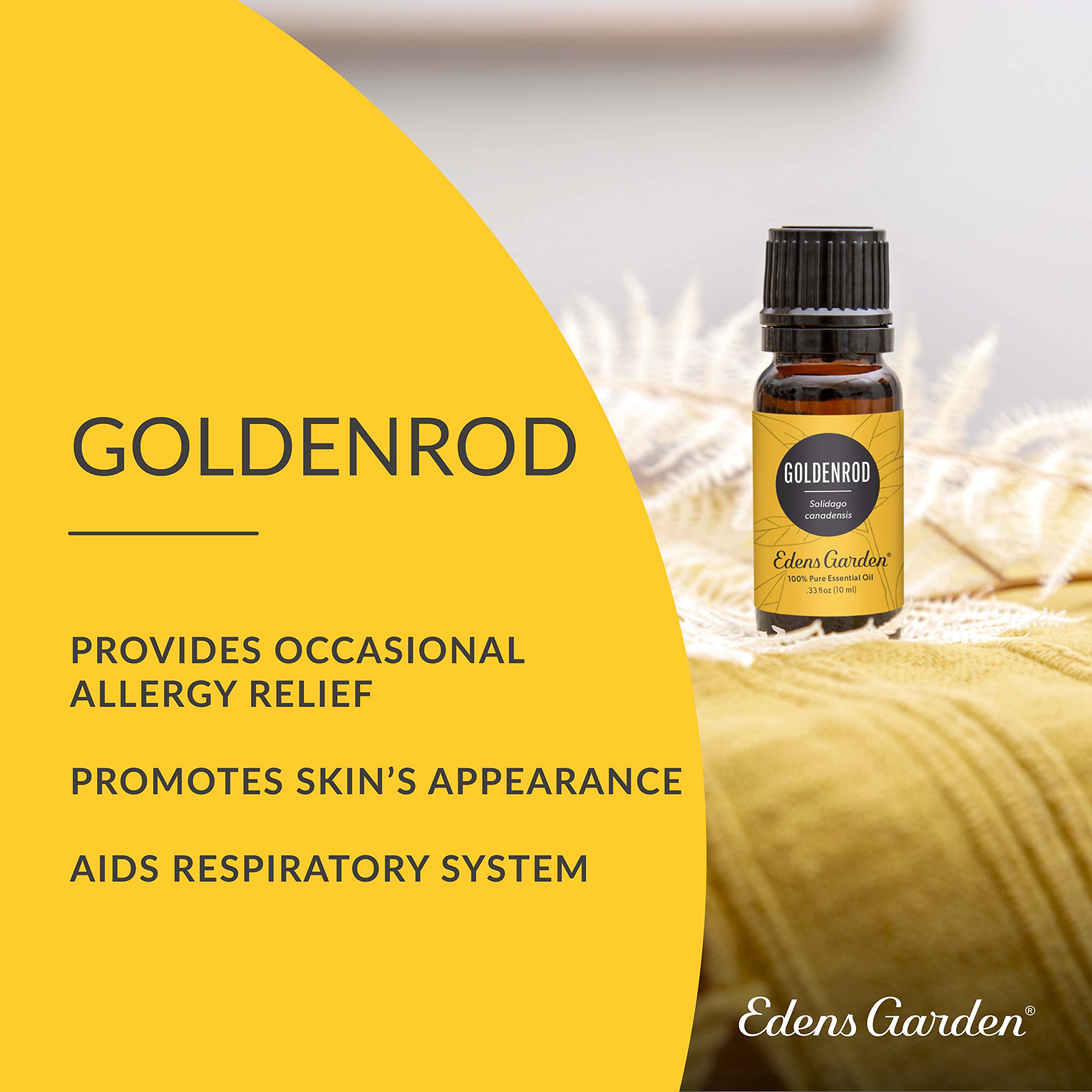 Edens Garden Goldenrod Essential Oil, 100% Pure Therapeutic Grade (Undiluted Natural/ Homeopathic Aromatherapy Scented Essential Oil Singles) 10 ml