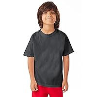 Hanes ComfortWash 100% Ring Spun Cotton Garment-Dyed T-Shirt M New Railroad Gry