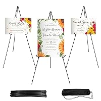 Easel Stand 65 Inches 3 Pcs, Lightweight Adjustable Art Easel for Display, Painting, Wedding Sign, Poster, Black Metal Easel with Portable Bags