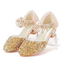 Princess Shoes Girls Heels Princess Dress up Shoes Little Girl Dress Shoes Cinderella Shoes for Girls