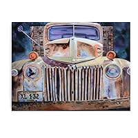 Posters Rusty Classic Car Wall Art Old Outdoor Car Painting Old Pickup Truck Poster Canvas Art Posters Painting Pictures Wall Art Prints Wall Decor for Bedroom Home Office Decor Party Gifts 24x32inc