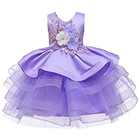 CHICTRY Little Girls Kids Floral Embroidered Tiered Birthday Party Ball Gown Princess Fancy Dress