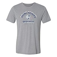 NCAA Division Arch, Team Color Canvas Triblend T Shirt, College, University