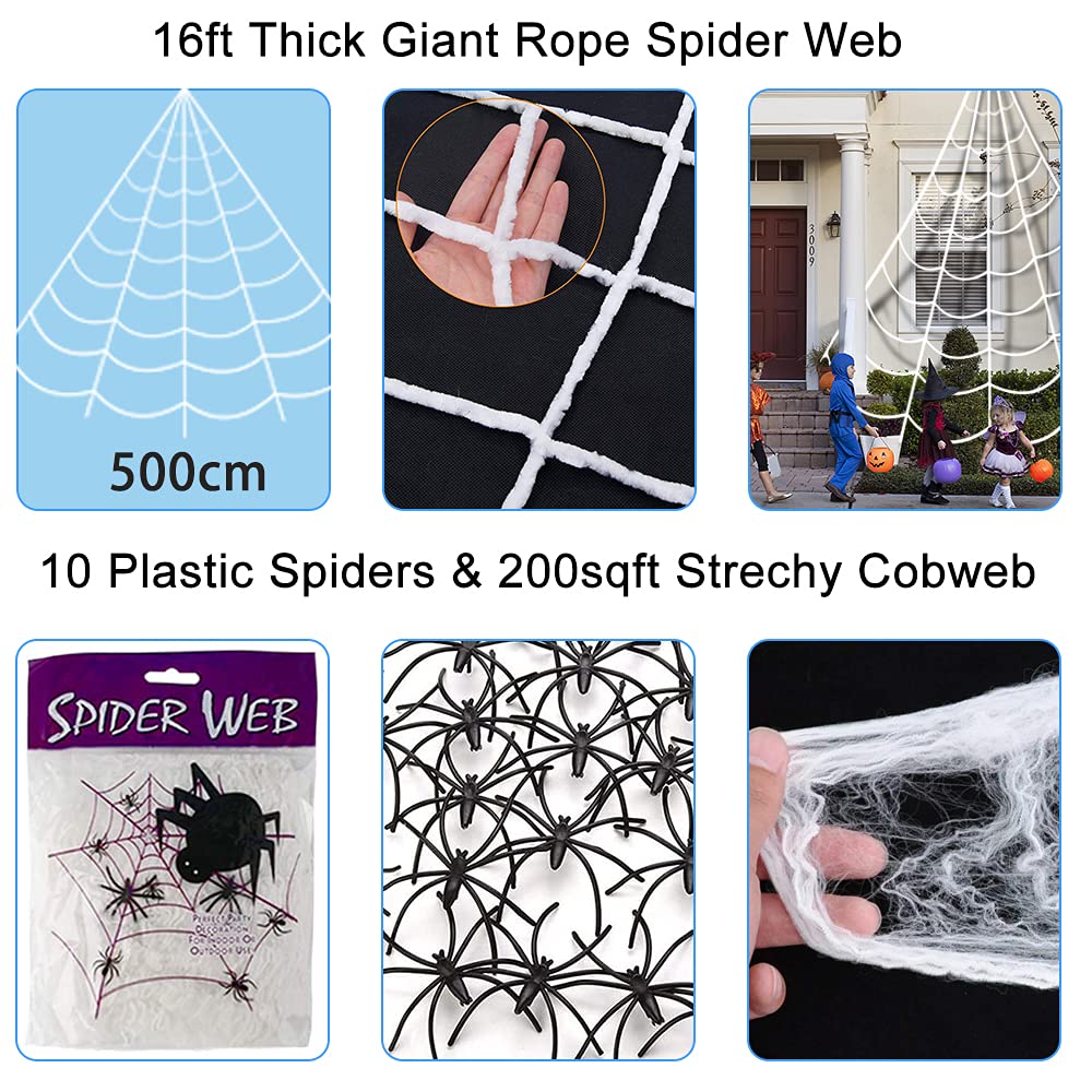 Chia sẻ với hơn 52 về mô hình cobweb hay nhất  hocvienthammyp2h