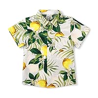 OCHENTA Boys Lightweight Button Down Hawaiian Shirt Floral Short Sleeve Aloha Tropical Summer Tops