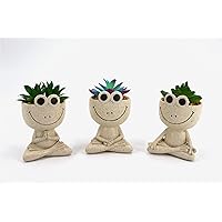 Cute Face Flower Pot Head Planter Pot Succulent Planter Resin Planter with Drainage Hole Home and Garden Indoor Outdoor Decorations, Gifts for Family Friends and Women…