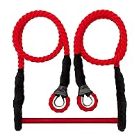 Aerial Trapeze, Aerial Gift, Aerial Trapeze Static, Aerial Equipment, Aerial Circus, Circus Equipment, Gift Trapeze Artist, Aerial Birthday, Circus props (8.2 ft (2.5 m), Red)