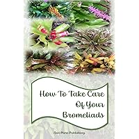 How To Take Care Of Your Bromeliads How To Take Care Of Your Bromeliads Paperback Kindle