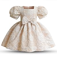 HNXDYY Toddler Girl Dress Baby Princess Birthday Party Ball Gown
