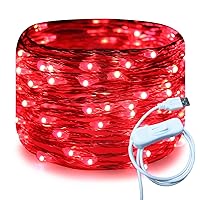 Silver Wire 33 Ft 100 LED USB Fairy String Lights with On/Off Switch (Red)