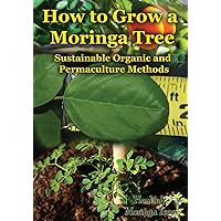 How to Grow a Moringa Tree: Sustainable Organic and Permaculture Methods