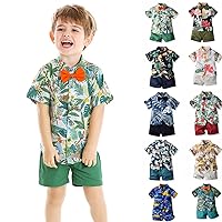 Toddler Baby Boy Shorts Sets Hawaiian Outfit,Infant Kid Leave Floral Short Sleeve Shirt Top+shorts Suits