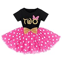 Mouse 2nd Birthday Outfit for Baby Girl My Second Birthday Outfits Cake Smash Outfit Mini Tutu Skirt Polka Dots Dress Mouse Themed Birthday Party Supply Toddler Princess Photo Shoot Black+Rose Two 2T