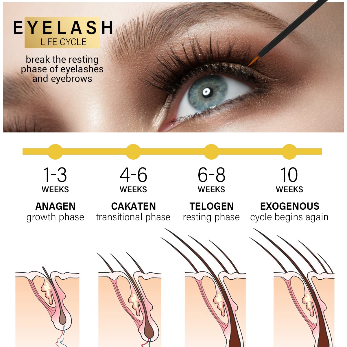 Premium Eyelash Growth Serum - 5ml Fuller & Longer Looking Eyelashes Lash Enhancing Serum for Natural Lashes or Lash Extensions & Brows, Vegan & Cruelty-Free gold