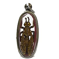 Thai Jewelry Amulet Necklace Magic Wasp Powerful of Millionaire Wealthy and Rich Prosperous Pendant