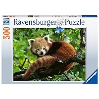 Ravensburger - Adult Jigsaw Puzzle - 500 Piece Jigsaw Puzzle - Adorable red Panda - Adults and Children from 12 Years Old Puzzle - 17381