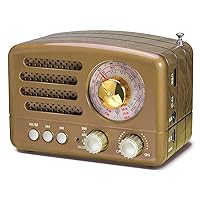 PRUNUS J-160 Retro Transistor Radio Battery Operated AM FM SW Radio, Small Rechargeable Portable Radio with 1800mAh Li-ion Battery, Support TF Card/Aux/USB MP3 Player(Gold)