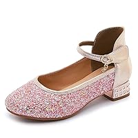HIPPOSEUS Girls Dress Shoes Sequins Flats Wedding Party Shoes Mary Jane Princess Shoes (Toddler, Little Kid) 236