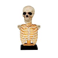 Crazy Bonez Skeleton Bust Statue with Light and Sound, 16
