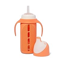 Glass Sippy Cup for Toddlers - The Luca | Spill-proof | Silicone Straw | Orange | 8 oz | Liquids Never Touch Plastic | Removable Handles (orange)