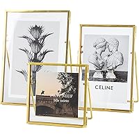 Set of 3 Glass Pressed Flowers Frame Collection, 4