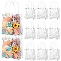 BESARME 60 Pack Clear Gift Bags with Handle, 6.3