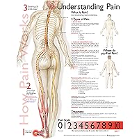 Understanding Pain Anatomical Chart Understanding Pain Anatomical Chart Wall Chart