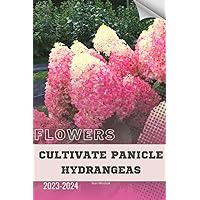 Cultivate Panicle Hydrangeas: Become flowers expert