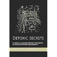 Detoxic Secrets: A year in a Malibu Rehab : the truth is the benchmark for sobriety