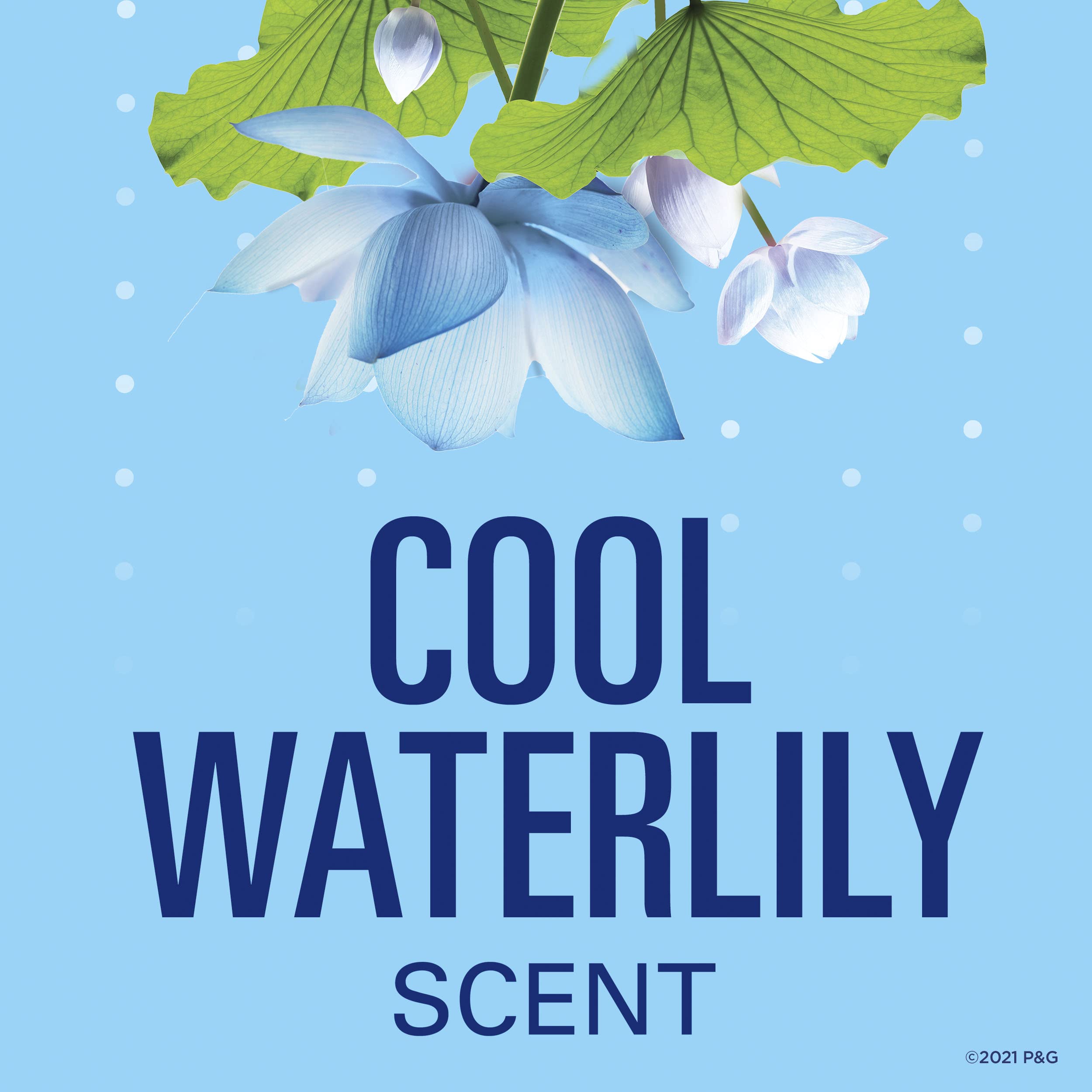 Secret Invisible Solid Antiperspirant and Deodorant, Waterlily Scent, 2.6 oz (Pack of 3)