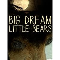 Dream Big Little Bears