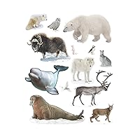 Fun Express Jumbo Realistic Arctic Cutouts - 13 Pieces - Educational and Learning Activities for Kids