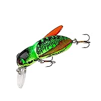 Rebel Lures Bumble Bug Topwater / Crankbait Fishing Lure, 1 1/2 Inch, 7/64 Ounce