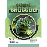 Broccoli: Guide and overview
