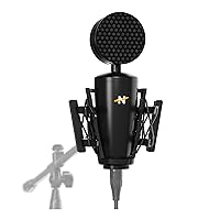 Neat King Bee II - Cardioid Large Diaphragm True Condenser Microphone includes Shock Mount and Pop Filter, for Vocal Recording, Podcasting, and Streaming, XLR Output - Black