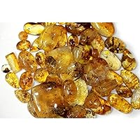1250Ct Genuine Insect Inclusion Yellow BURMITE Amber Mix CABOCHON Gemstone LOT