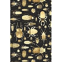 Notes: A Blank Lined Journal with Watercolor Bugs and Beetles Cover Art